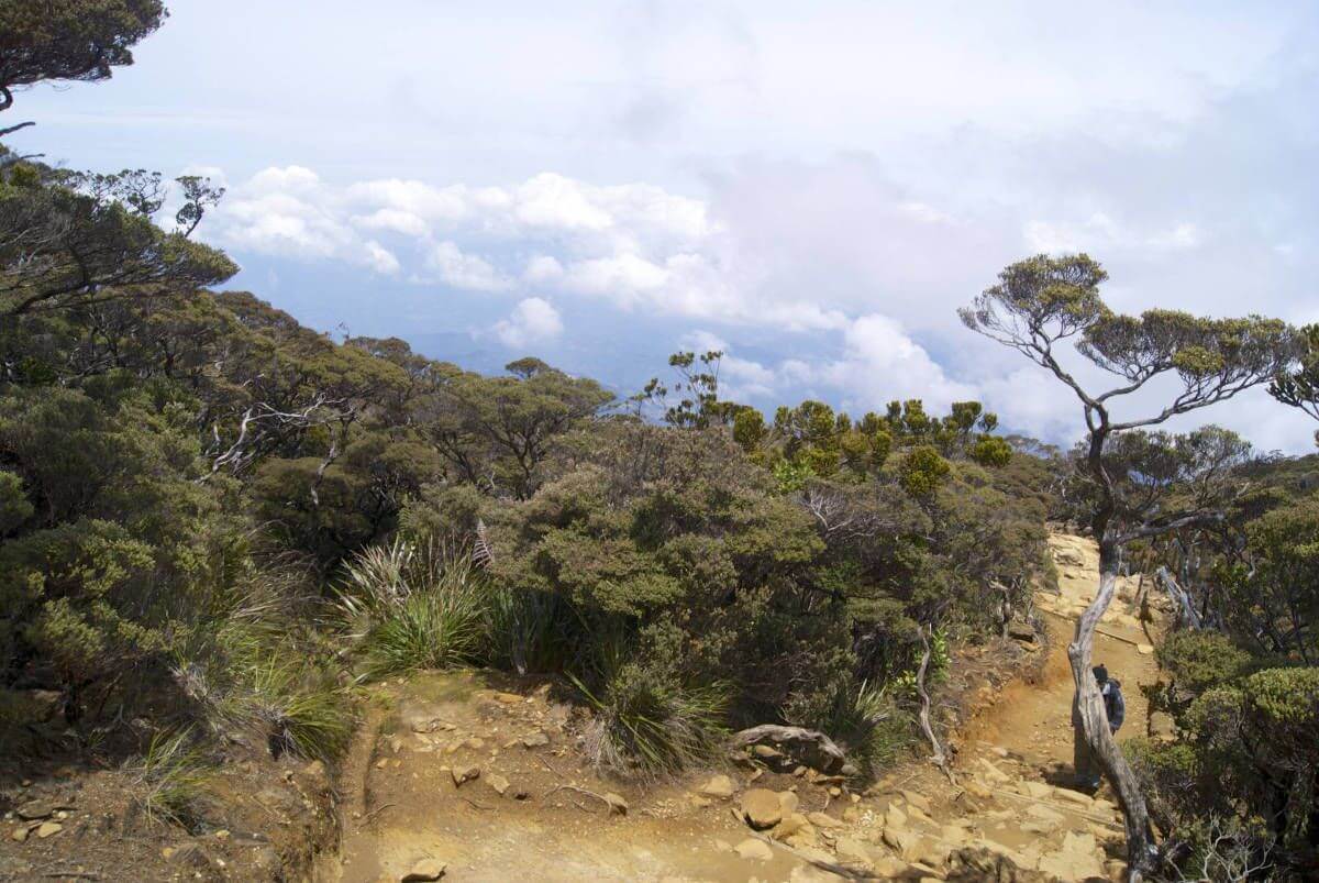 Mount Kinabalu route