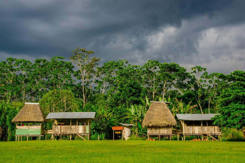 Huisjes in het Yasuni national park