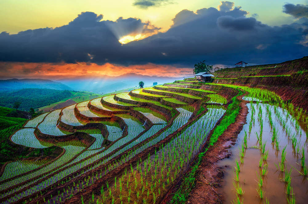 Rijstvelden in Azië | Dit zijn de 10 mooiste - Reis-Expert.nl