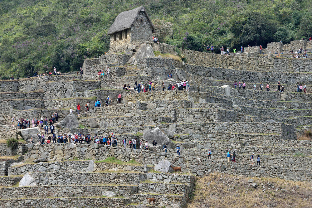 Toeristen bij Machu Picchu