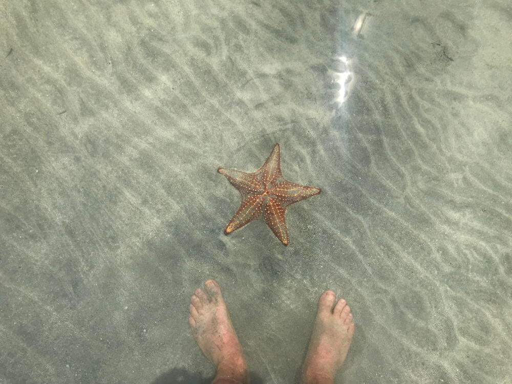 Starfish Beach, Bocas del Toro