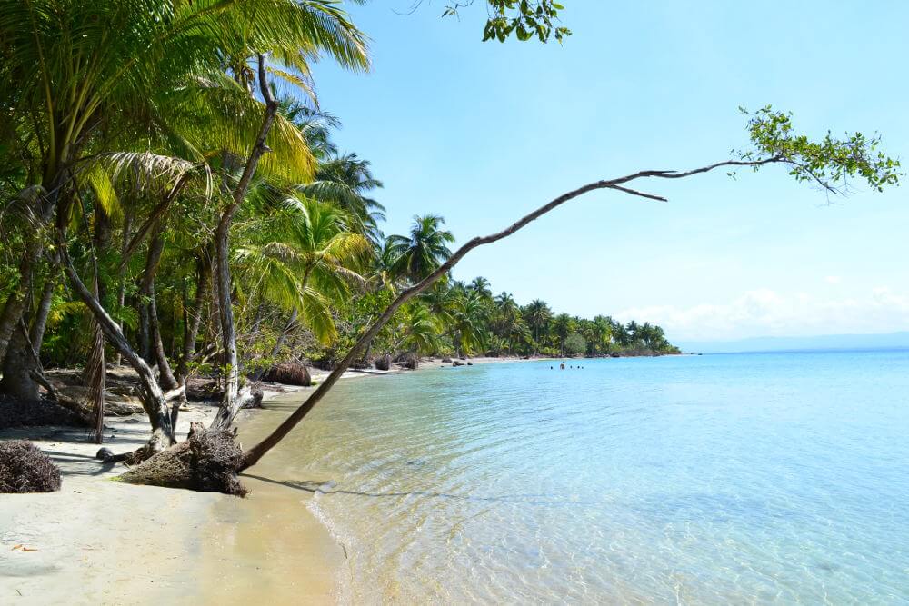 Er liggen diverse eilandengroepen in de buurt van Panama. Eén van de bekendste eilandengroepen, is Bocas del Toro. Wat deze eilandengroep zo populair maakt onder toeristen, is de bijzondere sfeer op de diverse eilanden. Op de eilanden heerst namelijk een Jamaicaanse sfeer. Het is een van de populairste bezienswaardigheden van Panama. En dat is meer dan terecht.