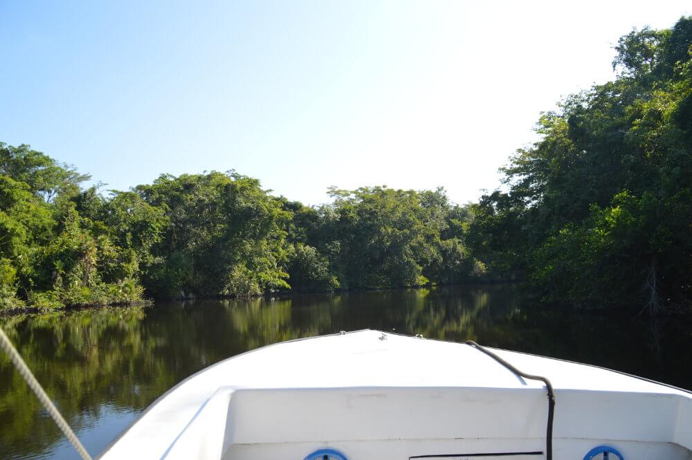New River Belize