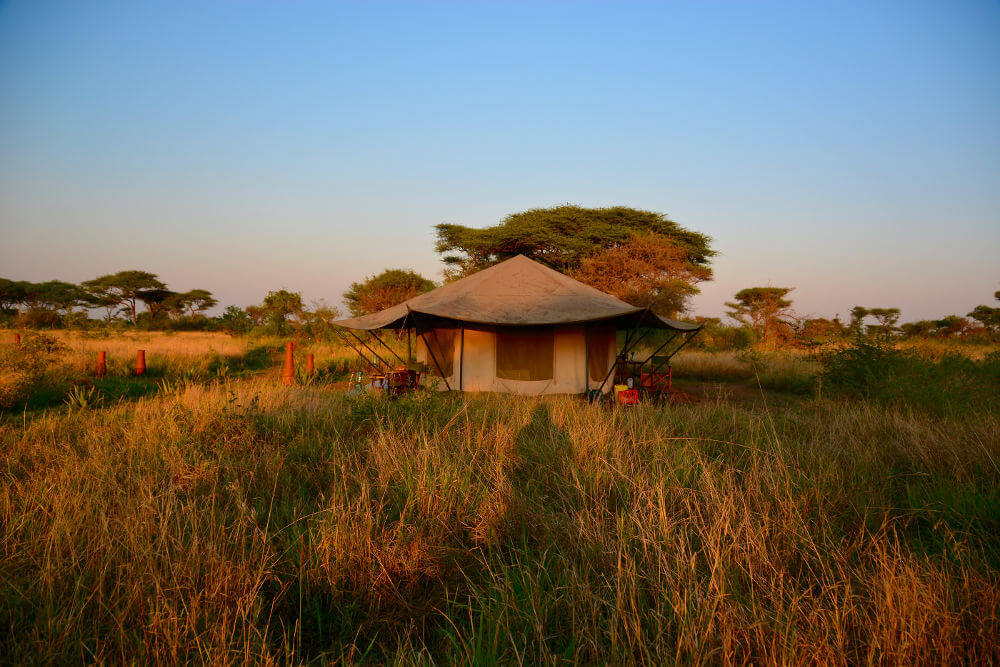 Serengeti