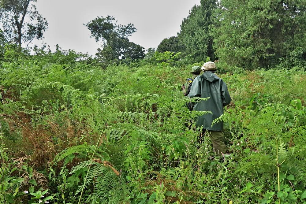 rangers in het Bwindi National Park