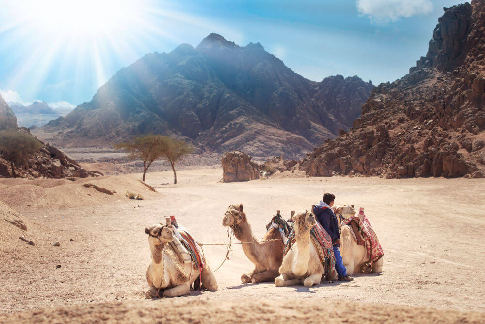 Sinai vervoer