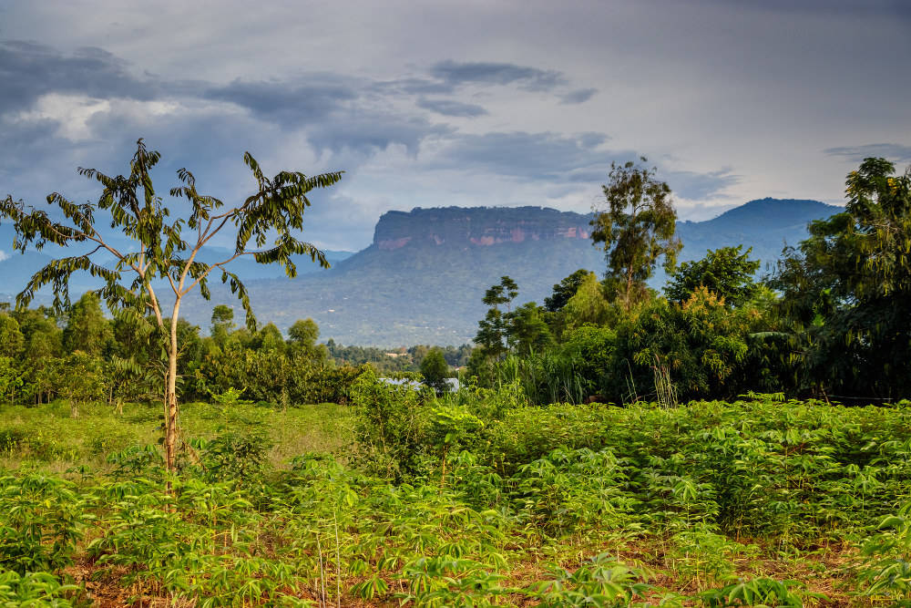 Mount Elgon National Park