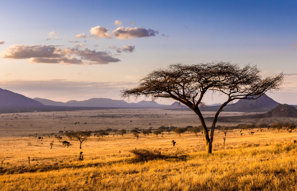 Het Tsavo National Park bestaat niet uit een, maar uit twee delen; oost en west Tsavo. Beide parken worden gescheiden door de Nairobi-Mambosa snelweg en treinrails, en beide delen hebben hun eigen indrukwekkende bezienswaardigheden. Het is een van de oudste, grootste en bezochte wildparken van Kenia.