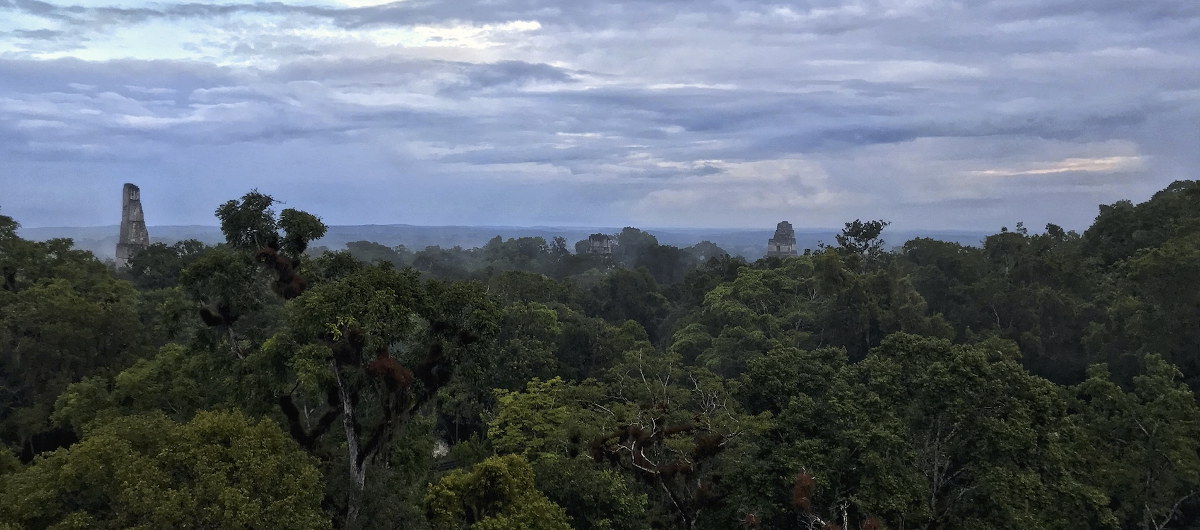 Zonsondergang Tikal