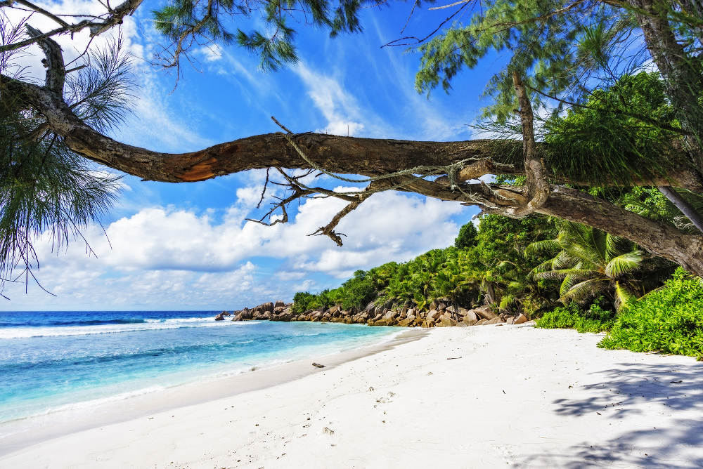 Vakantie naar de Seychellen