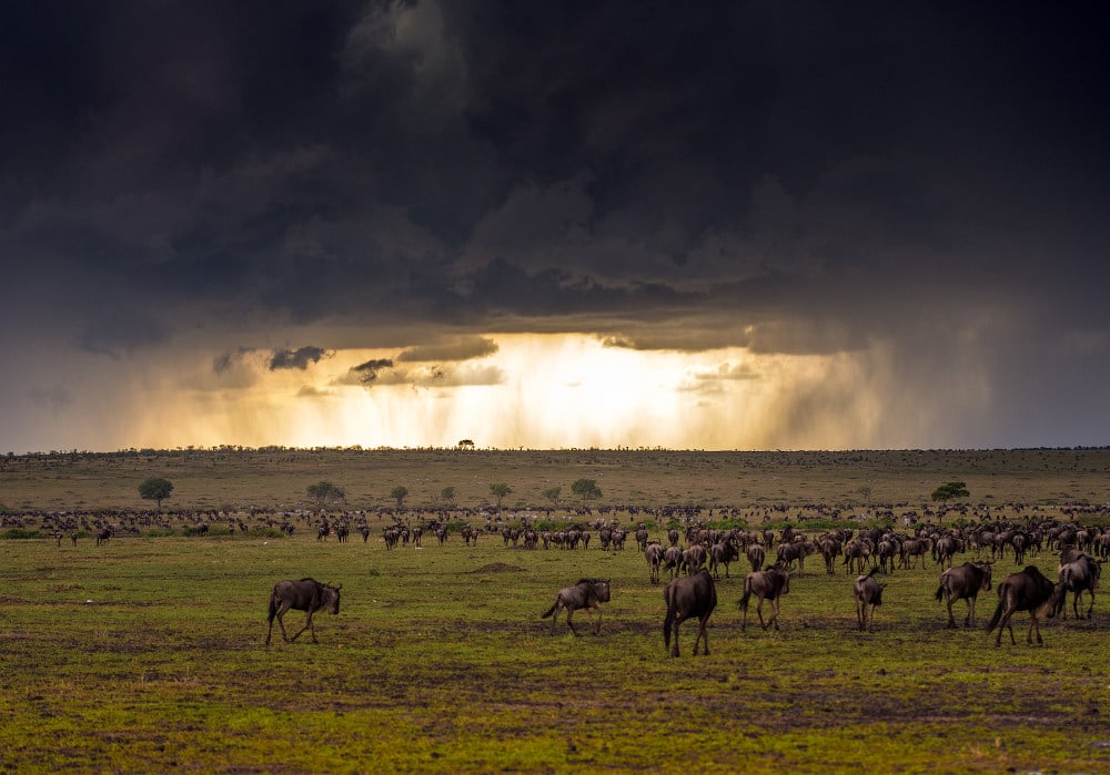 Nationale Parken Afrika