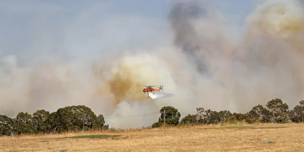 Bosbranden in Australie