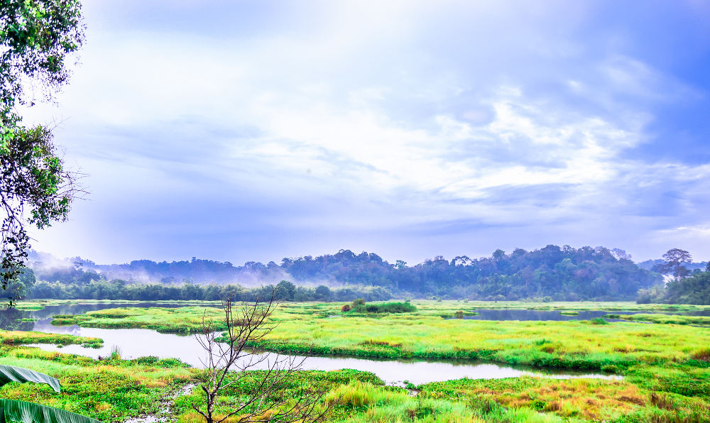 Het Cat Tien National Park kent een verbazingwekkend divers landschap van laagland en tropische regenwouden. Het park beslaat een oppervlakte van maar liefst 72.000 hectare! Het park ligt in het zuiden van Vietnam tussen Ho Chi Minh en Dalat in.