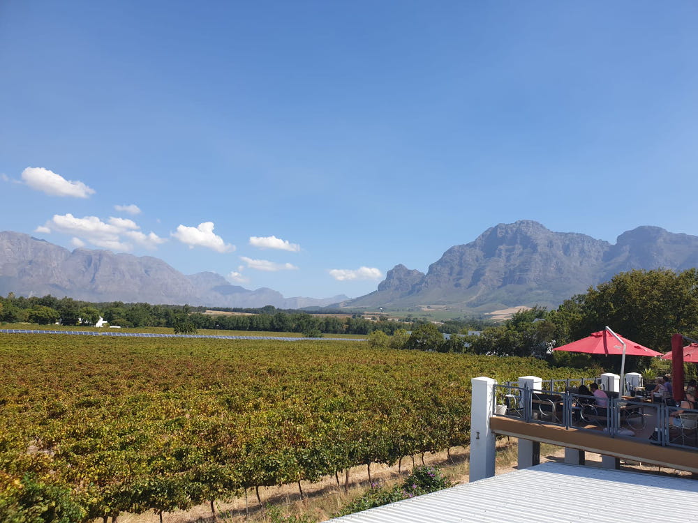 Lang voordat we naar Zuid-Afrika vertrokken waren er een aantal dingen waar we veel over lazen. Kaapstad natuurlijk, de Garden Route, Krugerpark en dus ook Franschhoek. Dit is een van de bekendste wijnregio’s ter wereld. Maar er is meer in Franschhoek dan alleen wijn. Wij geven je graag wat tips over deze stad.