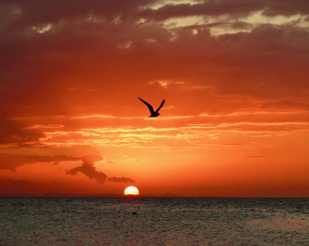 Sunset Belize