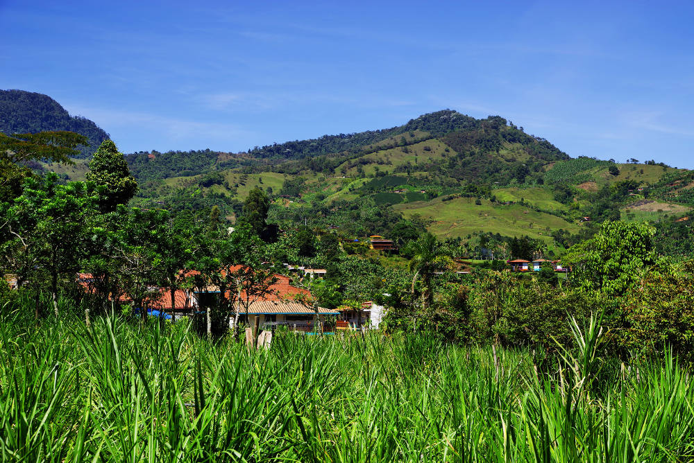 Groen bergen in Colombia