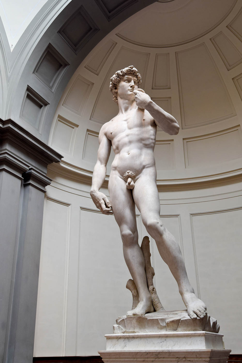 Davif, Michelangelo